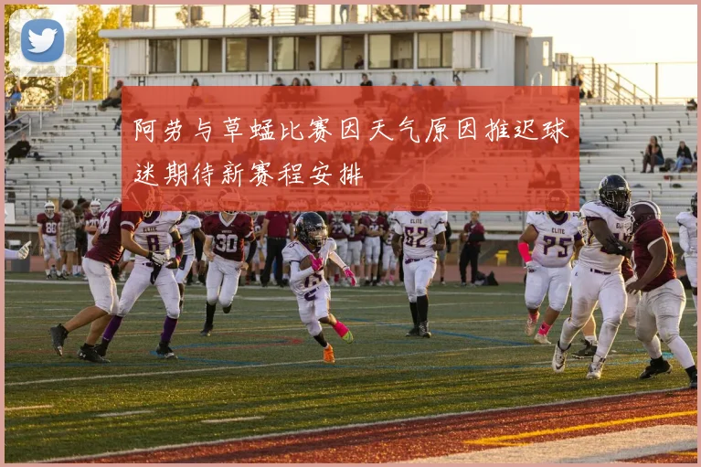 阿劳与草蜢比赛因天气原因推迟球迷期待新赛程安排