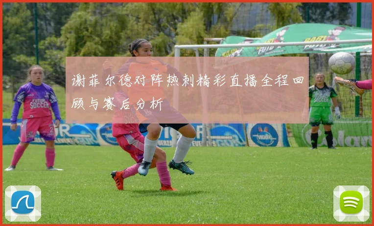 谢菲尔德对阵热刺精彩直播全程回顾与赛后分析