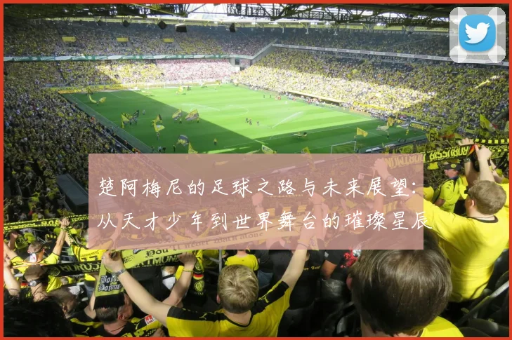 楚阿梅尼的足球之路与未来展望：从天才少年到世界舞台的璀璨星辰
