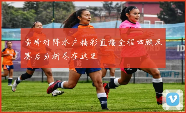 黄蜂对阵水户精彩直播全程回顾及赛后分析尽在这里